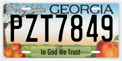 GA license plate PZT7849