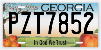 GA license plate PZT7852