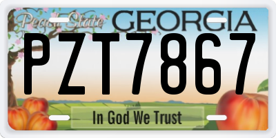 GA license plate PZT7867