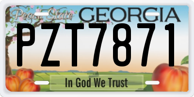 GA license plate PZT7871