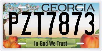 GA license plate PZT7873