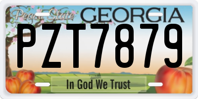GA license plate PZT7879