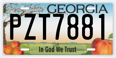 GA license plate PZT7881