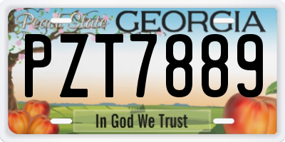 GA license plate PZT7889