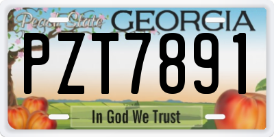 GA license plate PZT7891
