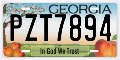 GA license plate PZT7894