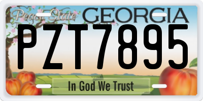 GA license plate PZT7895