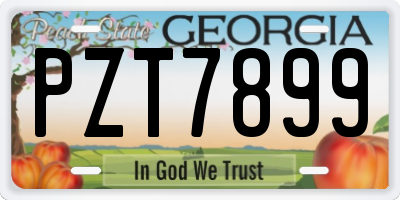 GA license plate PZT7899