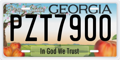 GA license plate PZT7900