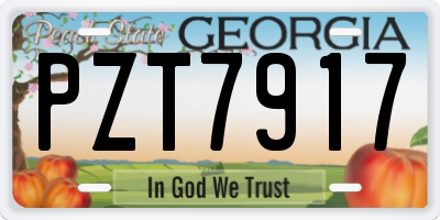GA license plate PZT7917