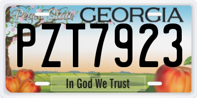GA license plate PZT7923