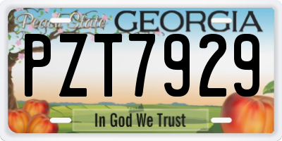 GA license plate PZT7929
