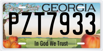 GA license plate PZT7933