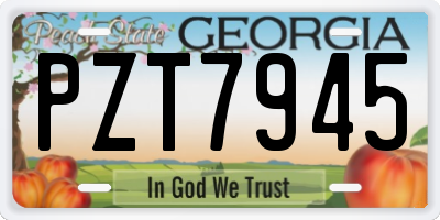 GA license plate PZT7945