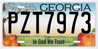 GA license plate PZT7973