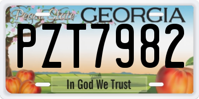 GA license plate PZT7982