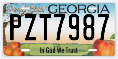 GA license plate PZT7987