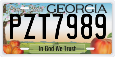 GA license plate PZT7989