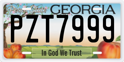 GA license plate PZT7999