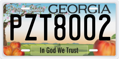 GA license plate PZT8002