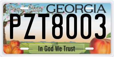 GA license plate PZT8003