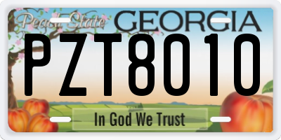 GA license plate PZT8010