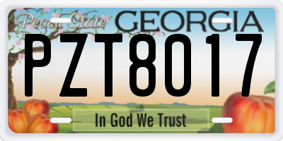 GA license plate PZT8017