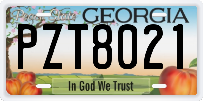GA license plate PZT8021