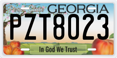 GA license plate PZT8023