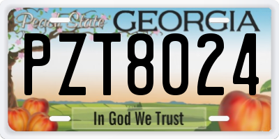 GA license plate PZT8024