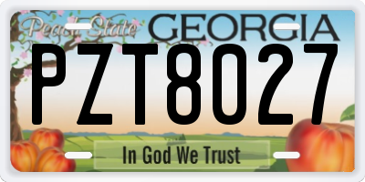 GA license plate PZT8027