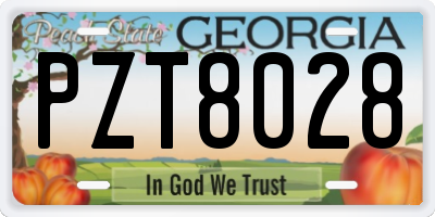 GA license plate PZT8028