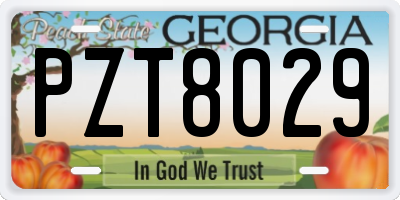 GA license plate PZT8029