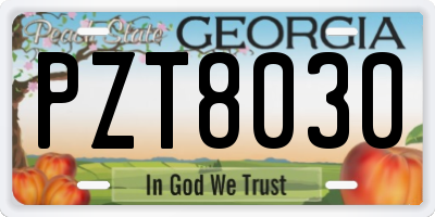 GA license plate PZT8030