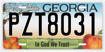 GA license plate PZT8031