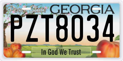 GA license plate PZT8034