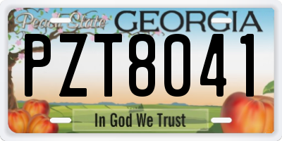 GA license plate PZT8041