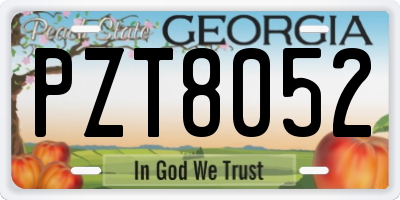 GA license plate PZT8052