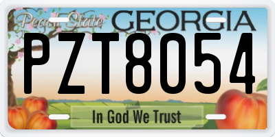GA license plate PZT8054