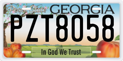 GA license plate PZT8058