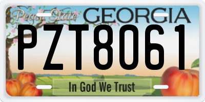 GA license plate PZT8061