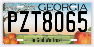GA license plate PZT8065