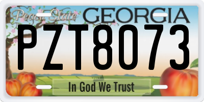 GA license plate PZT8073