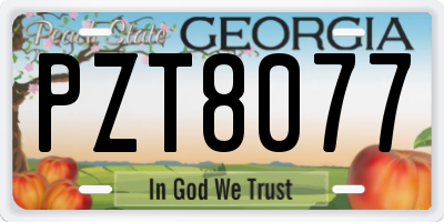 GA license plate PZT8077