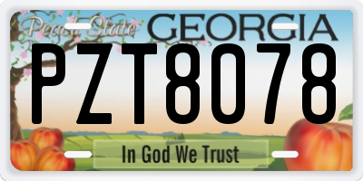 GA license plate PZT8078