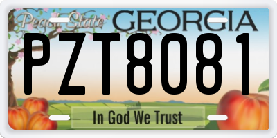 GA license plate PZT8081