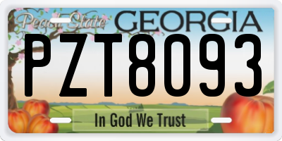 GA license plate PZT8093