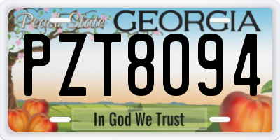 GA license plate PZT8094