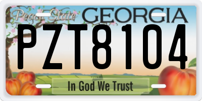GA license plate PZT8104