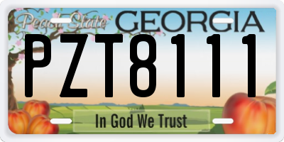 GA license plate PZT8111